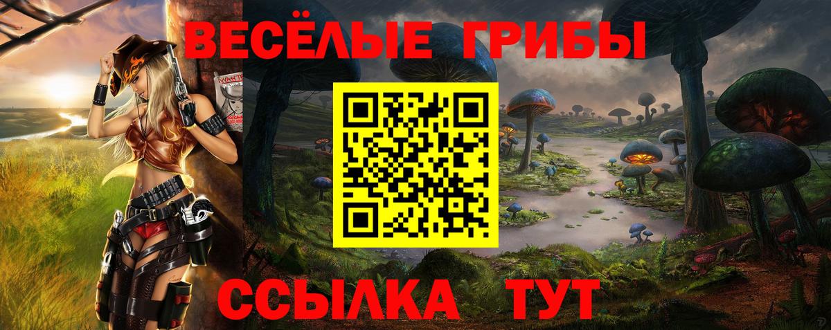 Галлюциногенные грибы ЛСД  Вход с VPN  Котлас  Псилоцибиновые грибы Psilocybe 